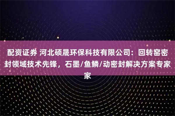配资证券 河北硕晟环保科技有限公司：回转窑密封领域技术先锋，石墨/鱼鳞/动密封解决方案专家